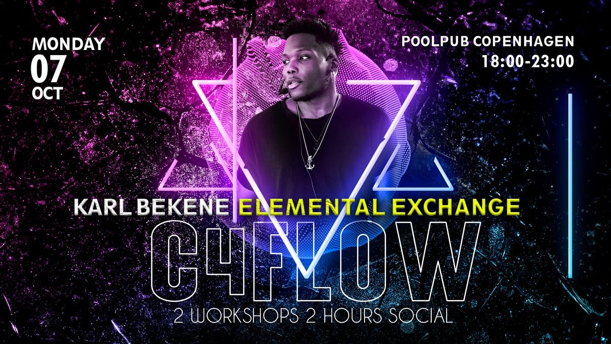 C4Flow Workshop with Karl: Elemental Exchange