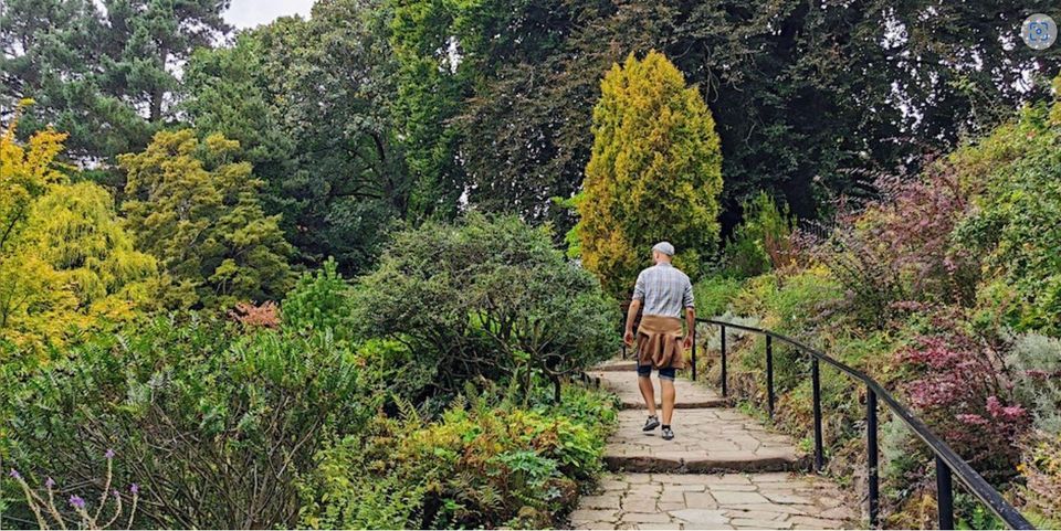 De-Stress In Nature at Fletcher Moss