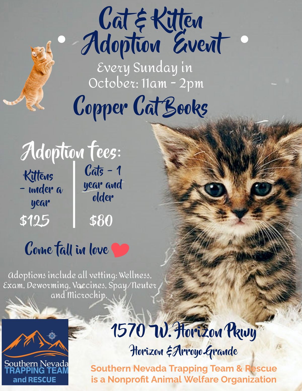 Cat & Kitten Adoption Event - Every SUNDAY in October