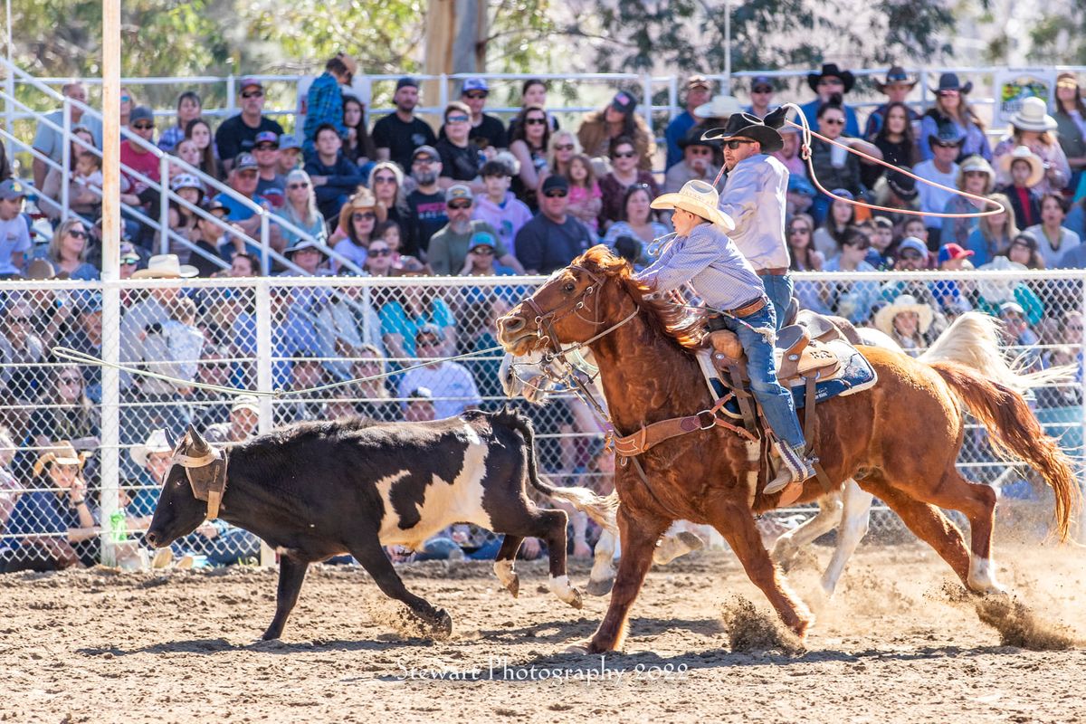 2025 Whiskey Flat Days