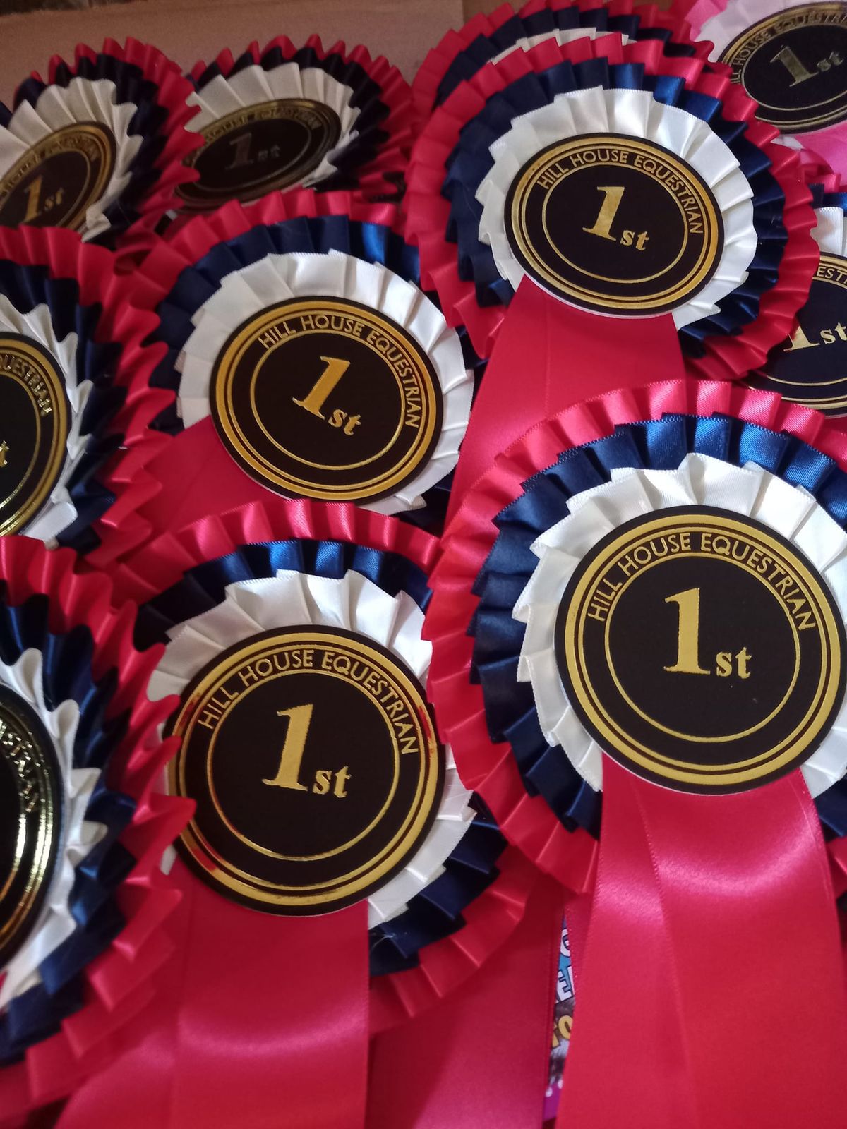 Unaffiliated Dressage OPEN TO ALL 