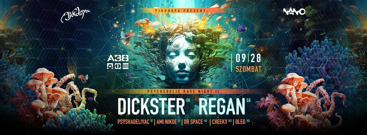 Pikodopa Presents: Psychedelic Rave Night II