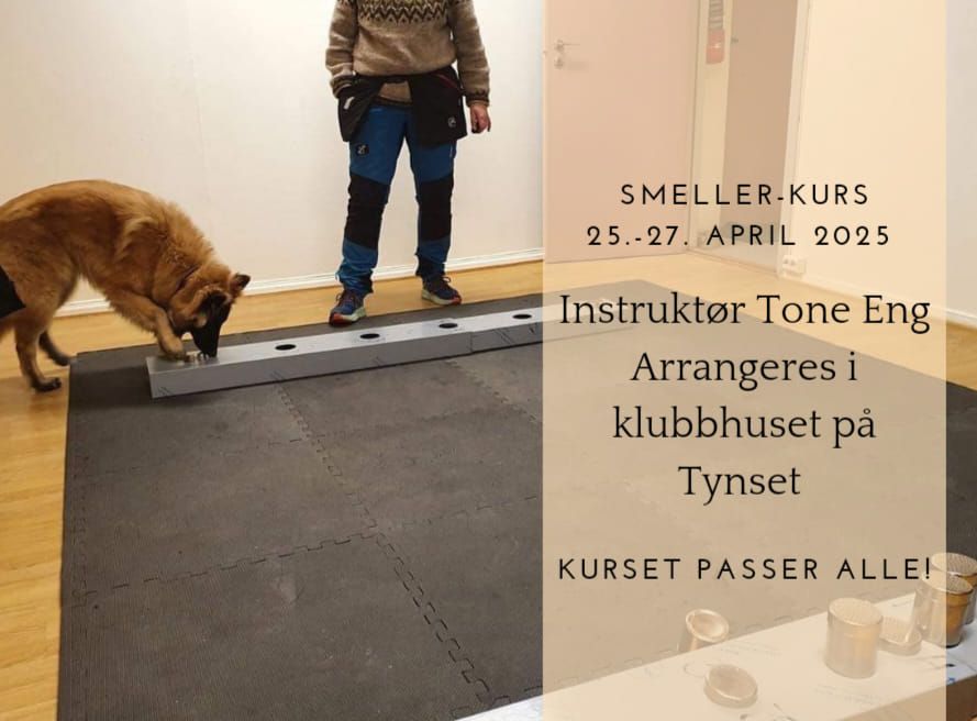 Smeller-kurs 25.-27.04.2025