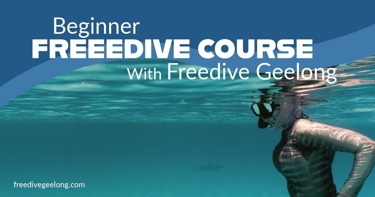 Beginner Freediving Course