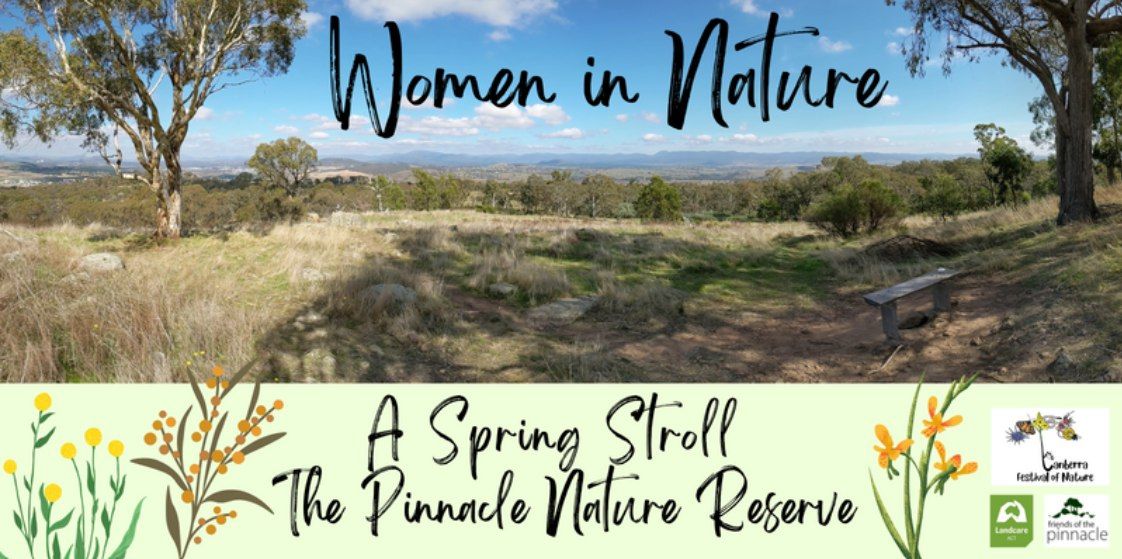 A Springtime Stroll through The Pinnacle Nature Reserve