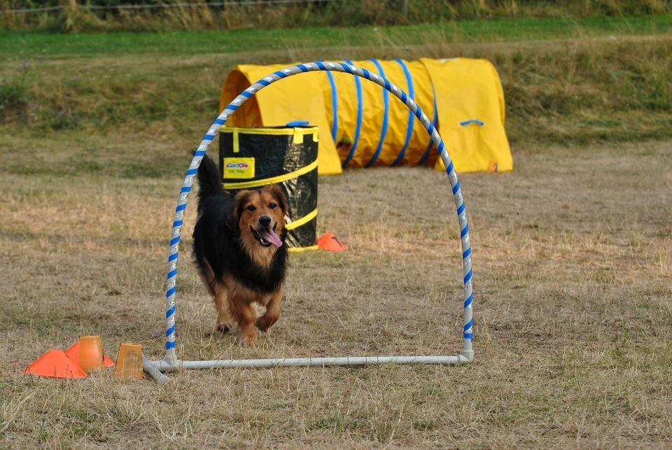 Double Ostrov Cup III Brno Cacovick Ostrov Brno 15 April 2023 double-ostrov-cup-iii-brno-cacovick-ostrov-brno-15-april-2023