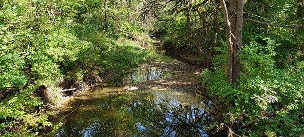 Heart of Illinois Sierra Club Meeting: Planning for the Kickapoo Creek Watershed