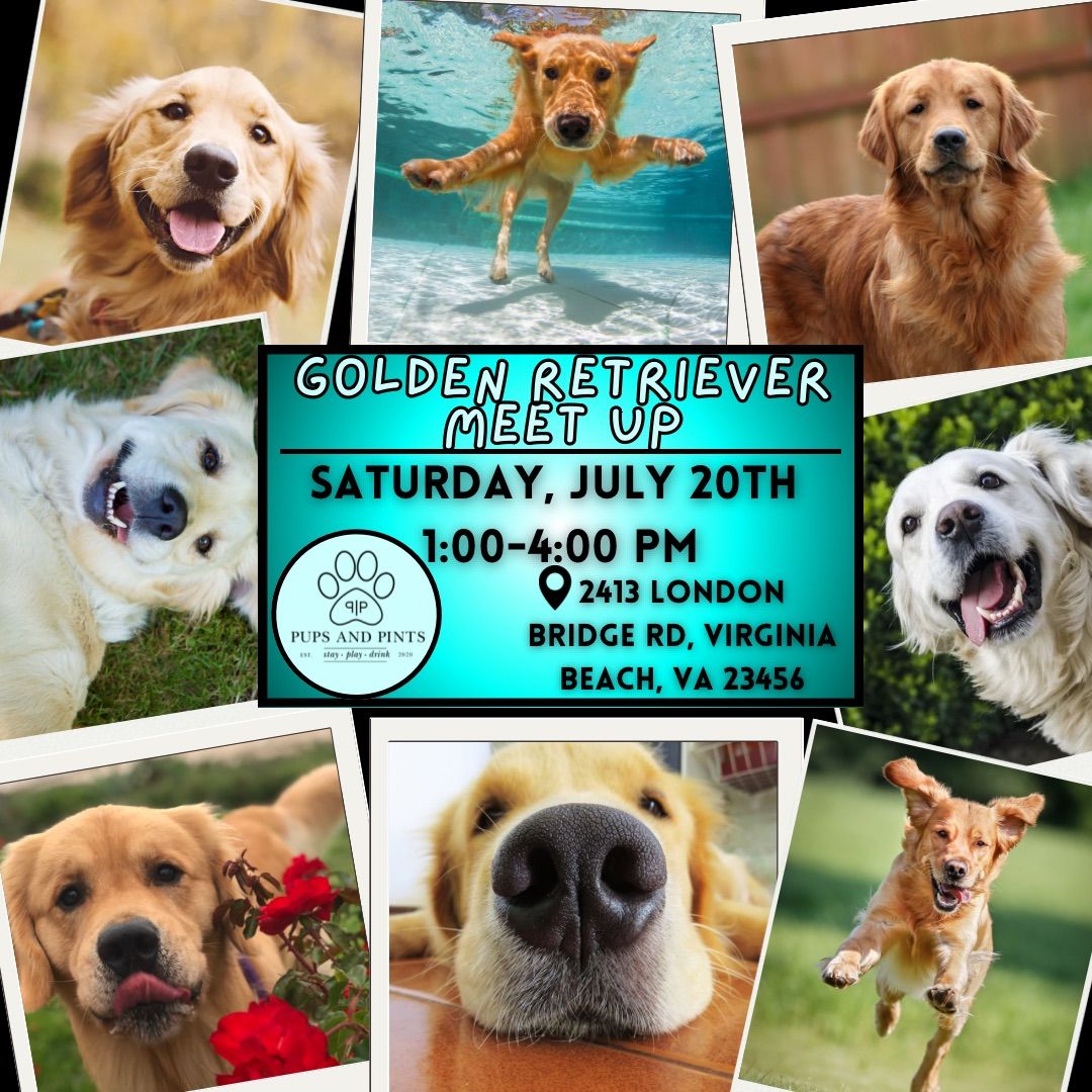 Golden Retriever Meet Up