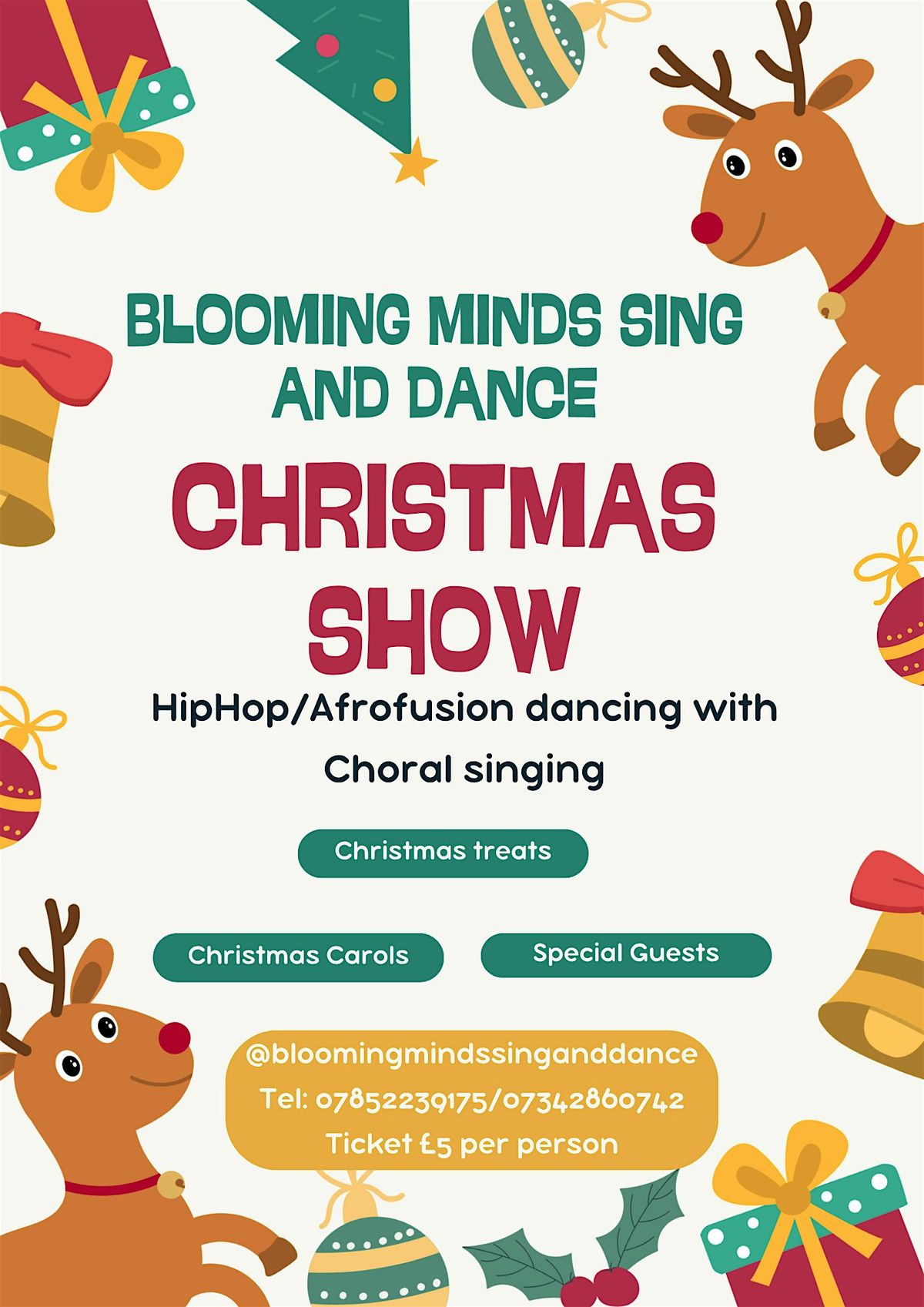 Blooming Minds Sing and Dance Christmas Show
