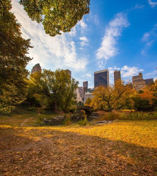 Only $20 - Central Park Secrets Walking Tour