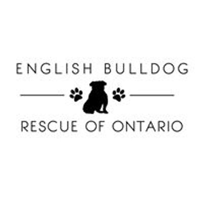 English Bulldog Rescue of Ontario
