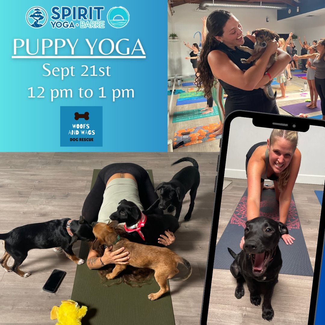 Puppy Yoga at Spirit Yoga