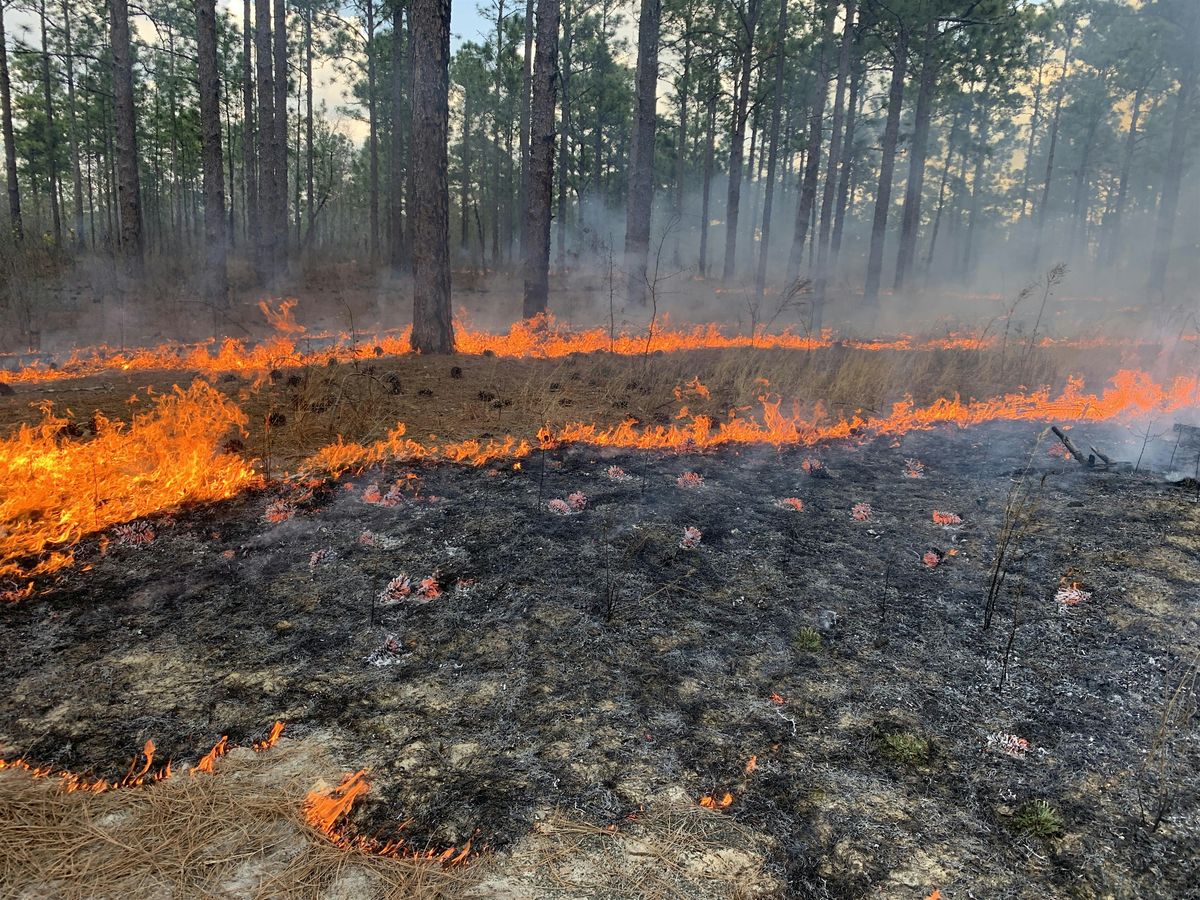 Prescribed Burn Planning Basics Workshop - Sumter