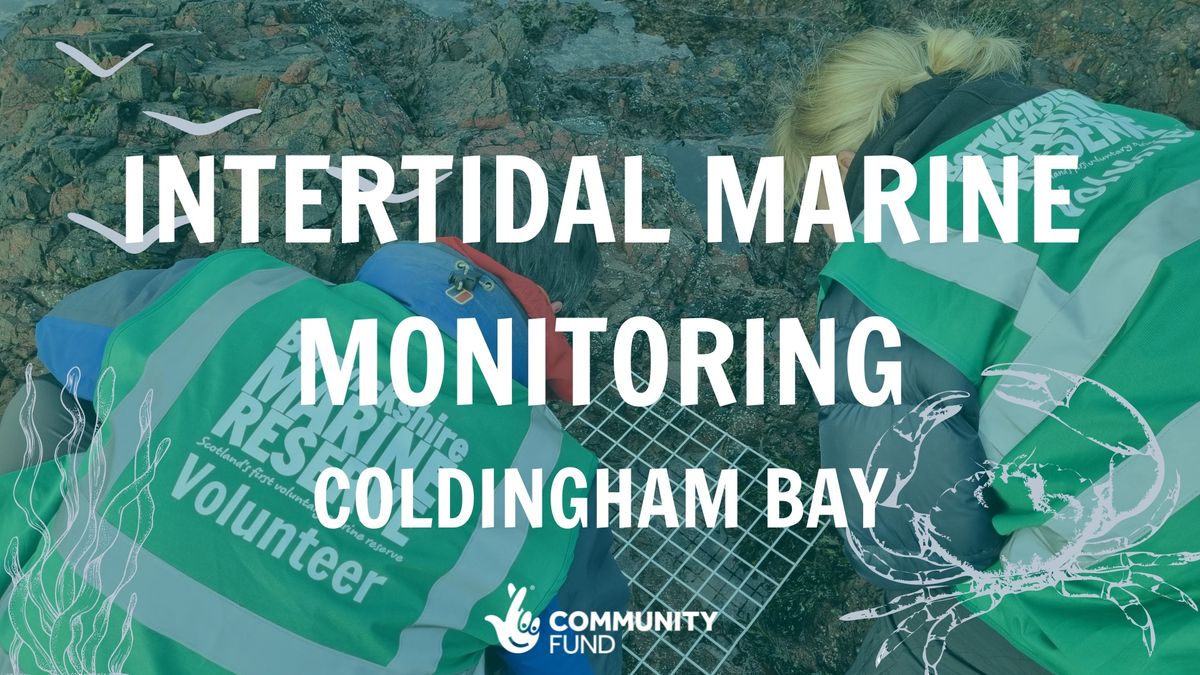 Intertidal Marine Monitoring - Coldingham Bay