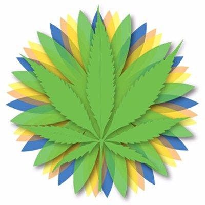 Euflora - Jars - FlyHi