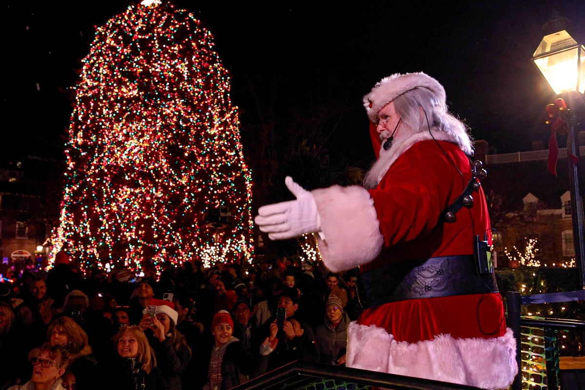 Palmer Square Annual Tree Lighting