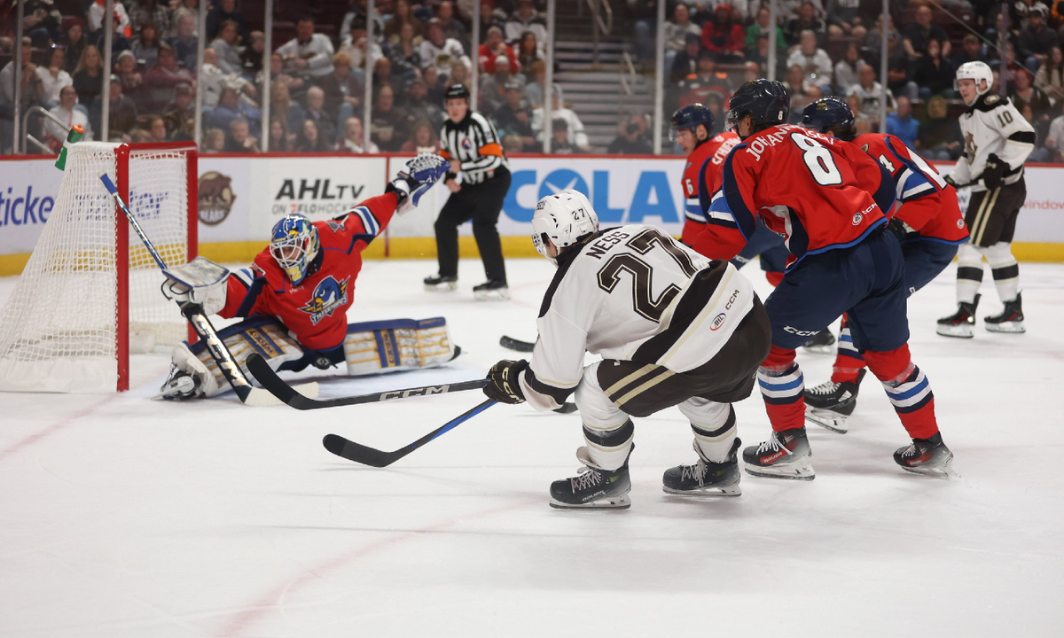 Hershey Bears at Springfield Thunderbirds