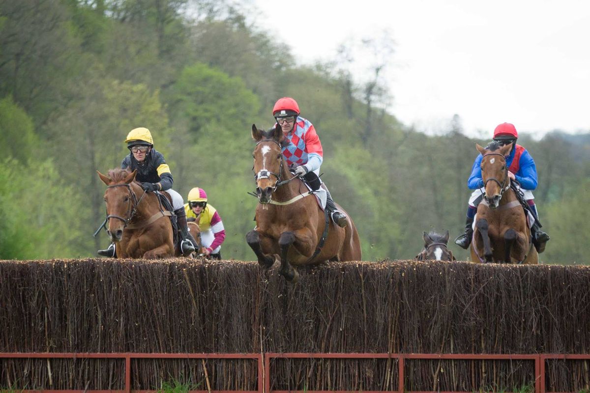 Knightwick Races Point to Point 2024