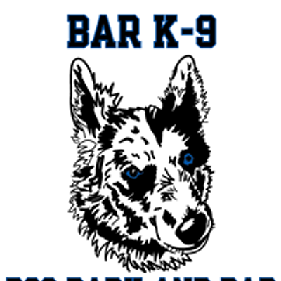 Bar K-9 Indoor Dog Park and Bar