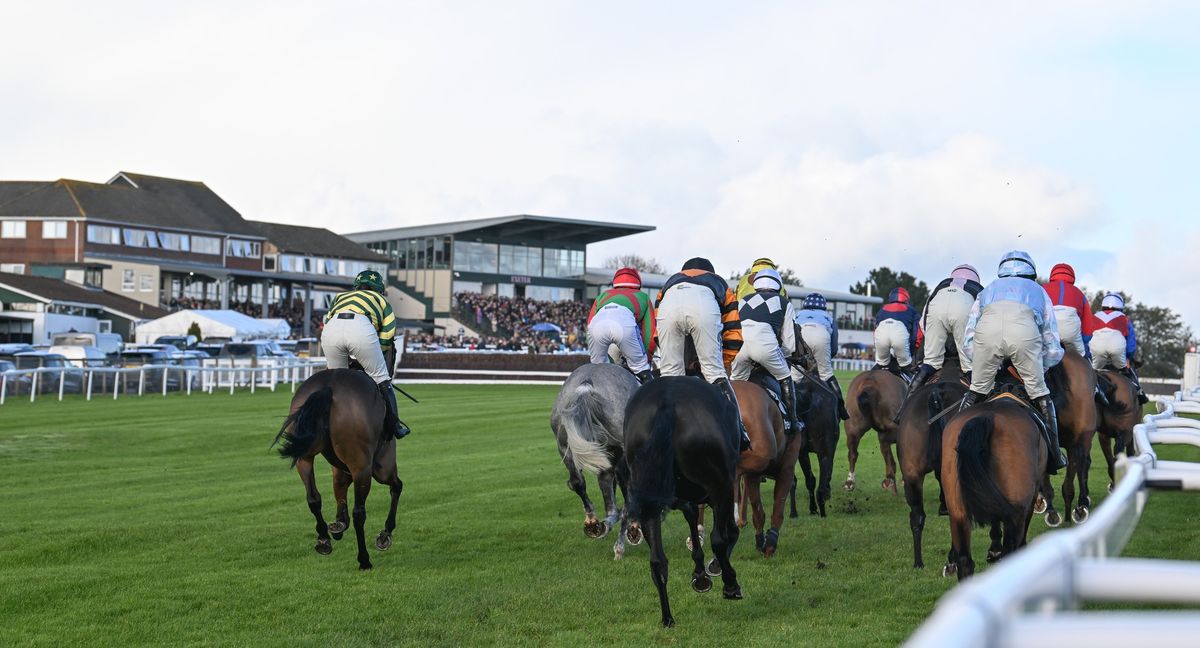 Haldon Gold Cup Day (West Country Weekend Day 1)