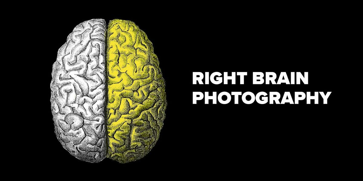 Right Brain Photography - LIVE w\/ Jim Dicecco