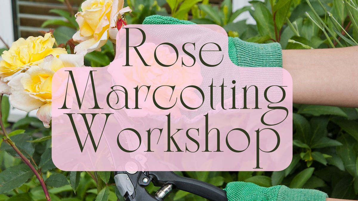 Rose Marcotting (Cloning) Workshop