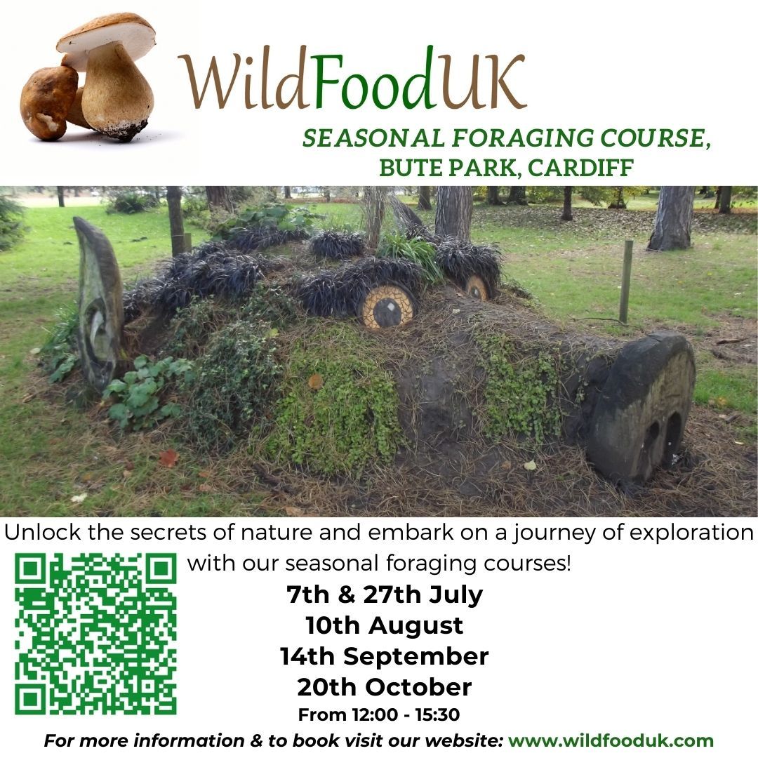 Foraging Course - Bute Park, Cardiff