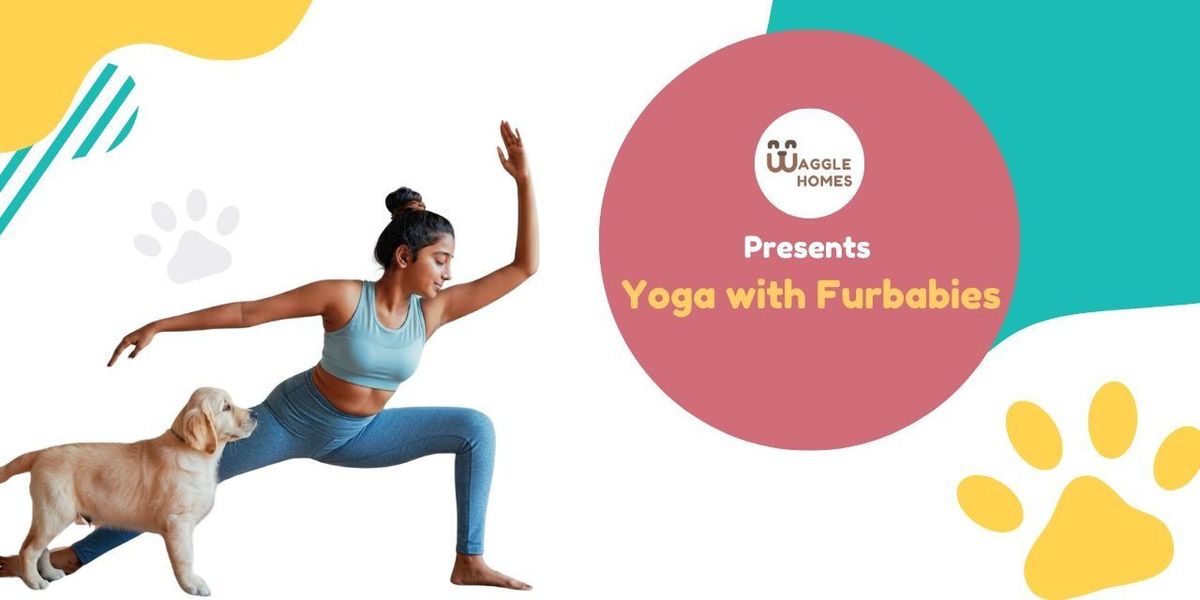 Yoga With Fur-babies