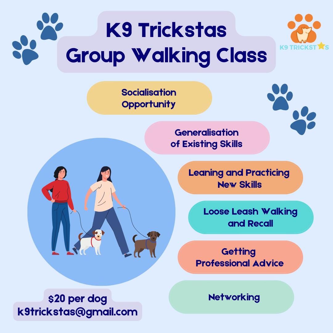 K9 Trickstas Group Walking Class