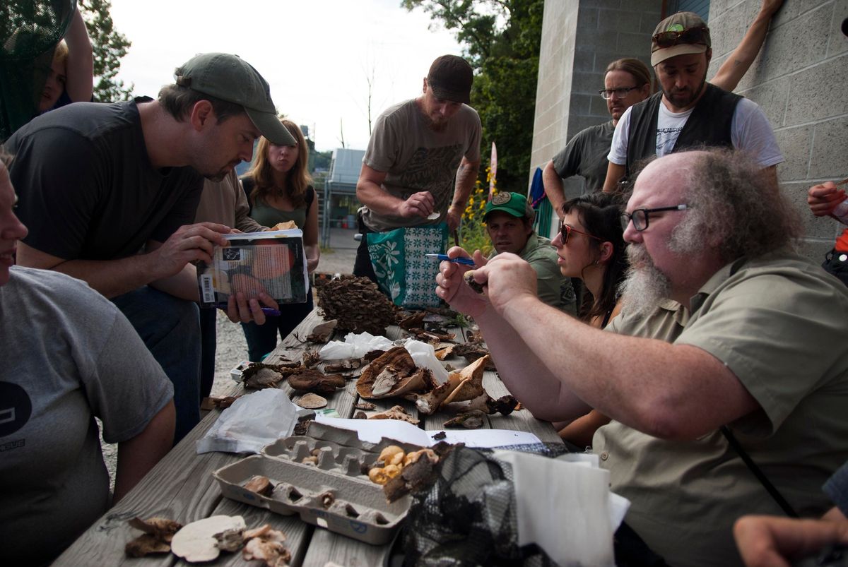 Beginner's Mushroom ID Hike