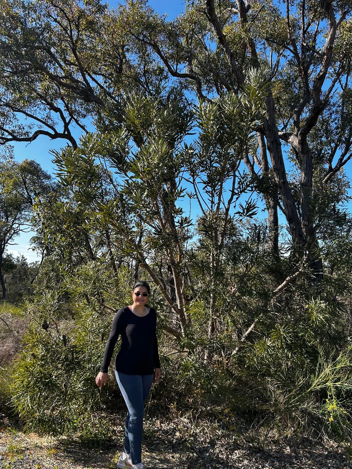 Guided Walk in Mirrabooka's Bush Land