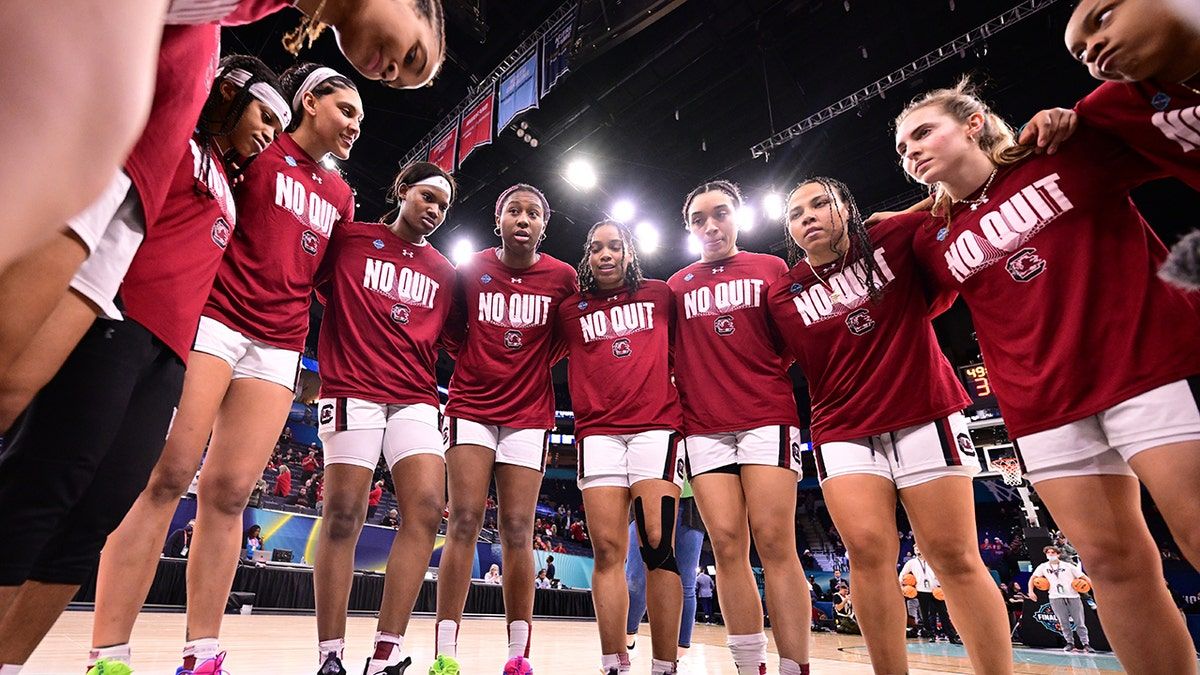 South Carolina Gamecocks at Louisville Cardinals Womens Basketball