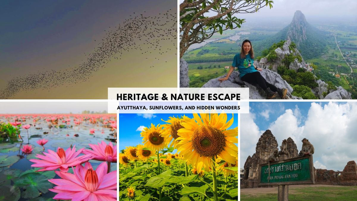 Heritage & Nature Escape: Ayutthaya, Sunflowers, and Hidden Wonders\u200b