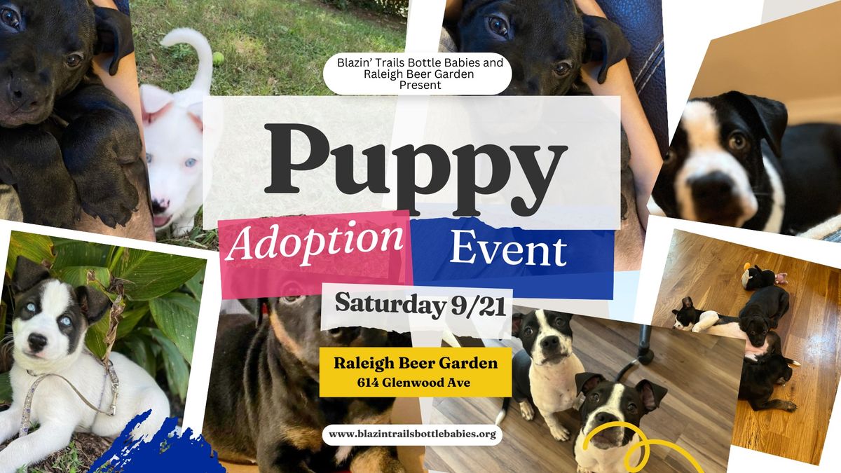 Adoption Event at The Raleigh Beer Garden