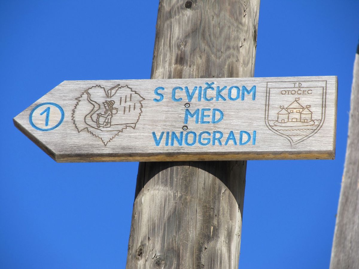 S cvi\u010dkom med vinogradi 29. tradicionalni pohod