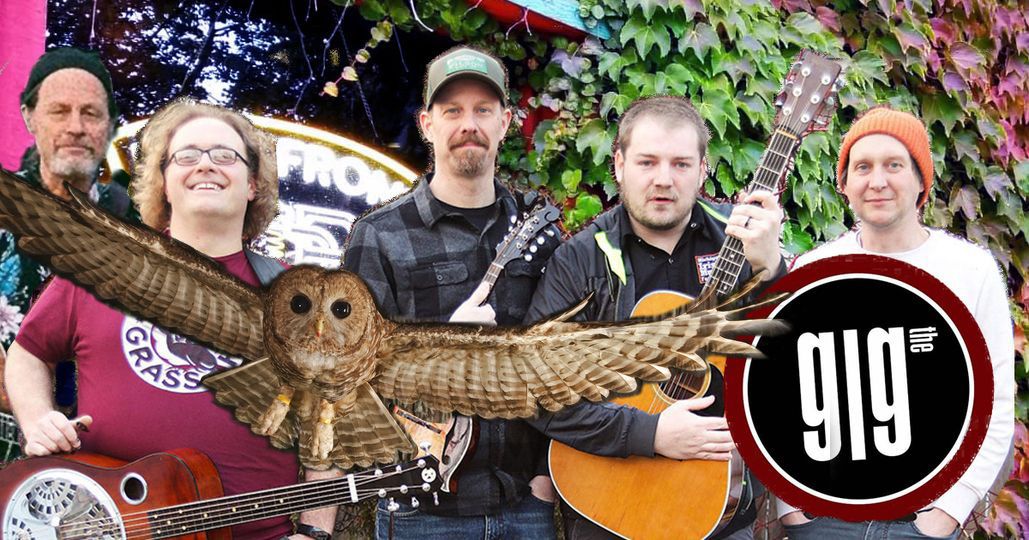 The Barred Owl Stringband Live @ The GIg