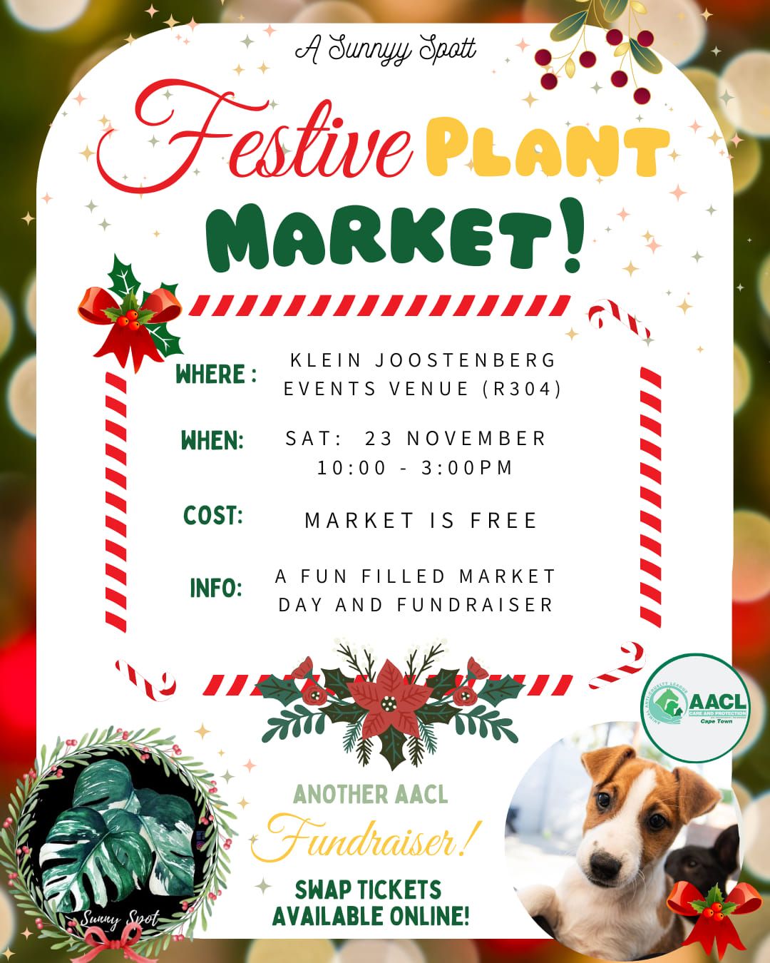 Festive Plant Market