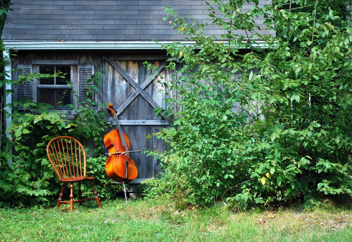 Bluegrass, from Traditional to Progressive