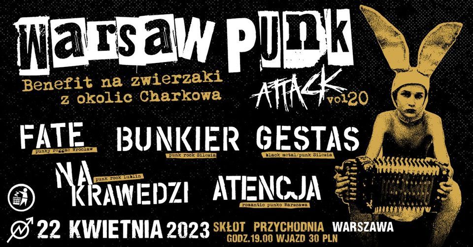 Warsaw Punk Attack vol 20!
