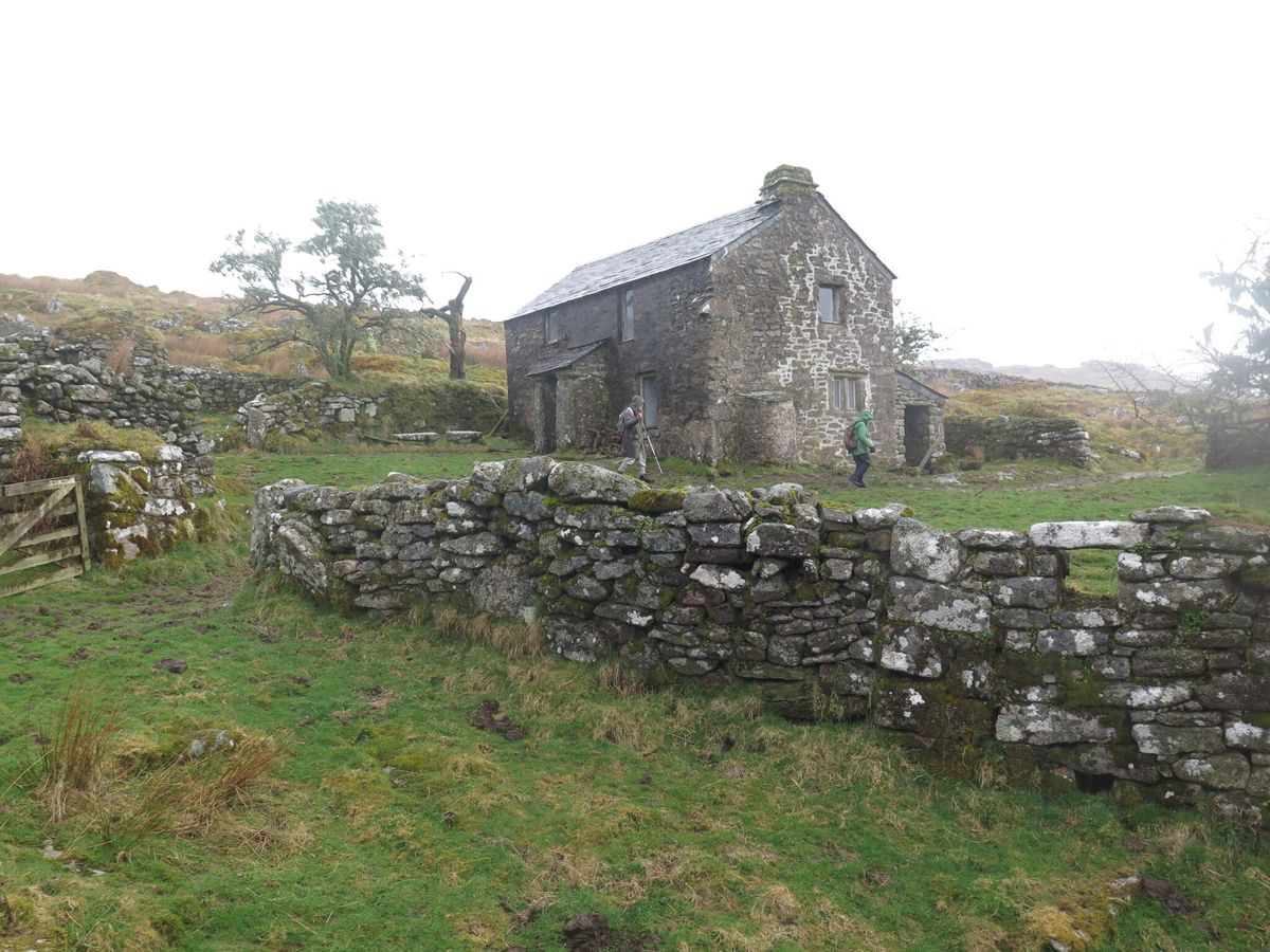 Archaeology Walk and Talk: Bodmin Moor's Cornish Hedges with Peter Herring