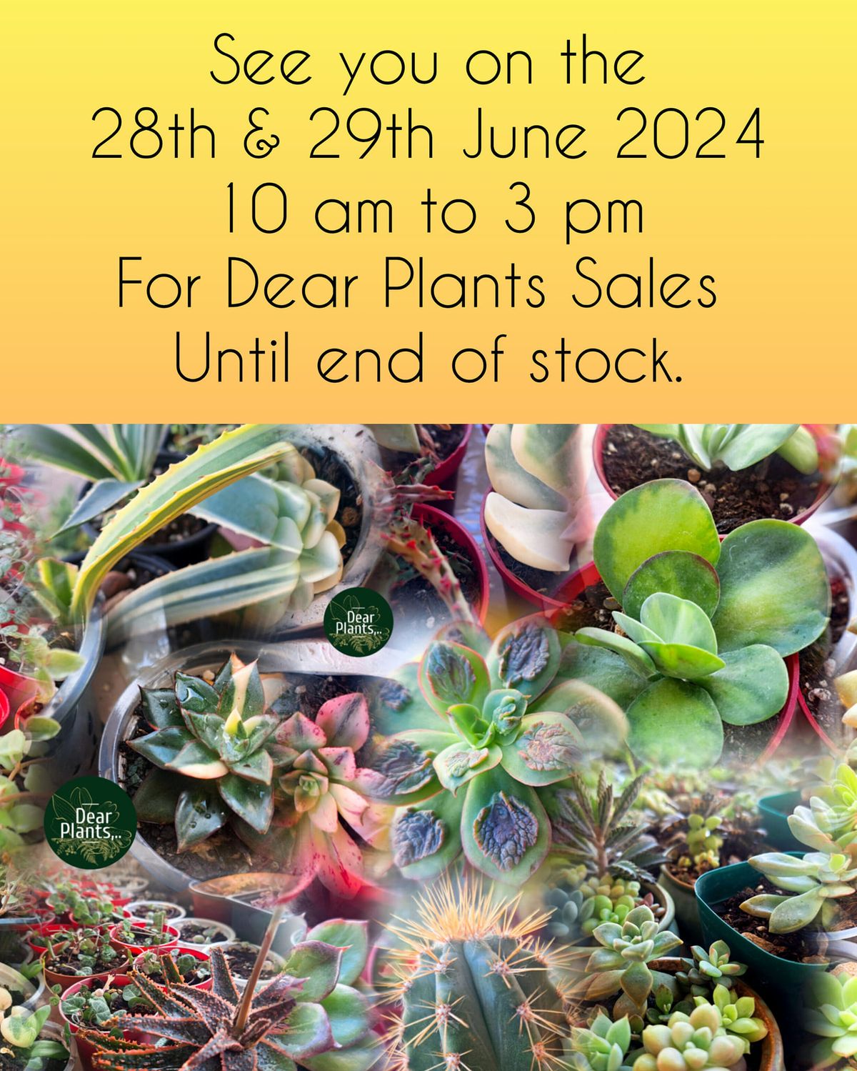 Dear Plants Mauritius Sales