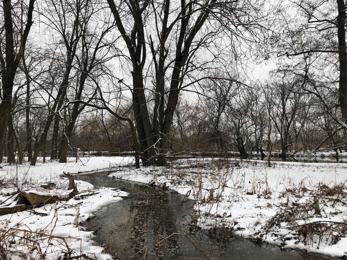 Winter Tree ID Walk n' Talk with Jeff Cooney and Robb Kerr 