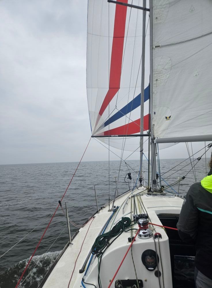 Spinnaker zeilen - VOL