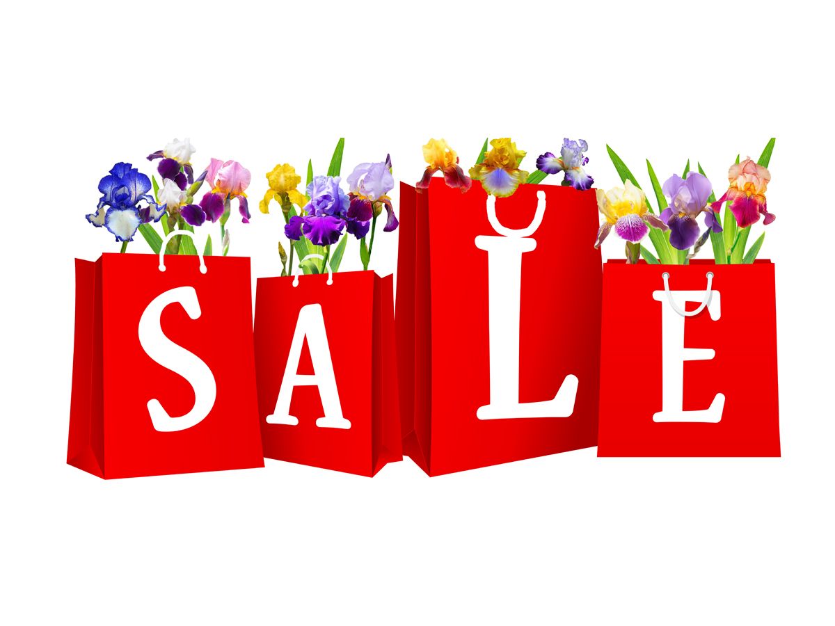 Annual Iris Rhizome Sale