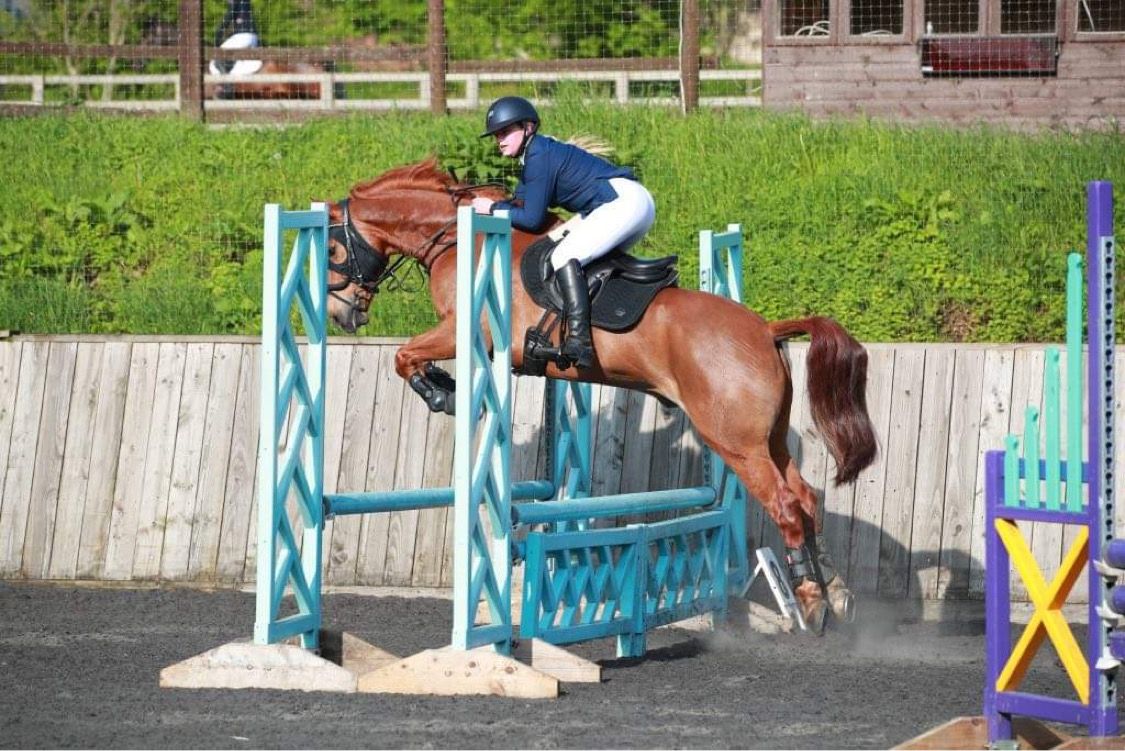 Unaffiliated Showjumping