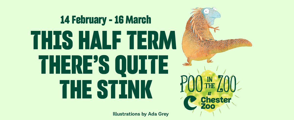 Discover Poo in The Zoo this half term! 