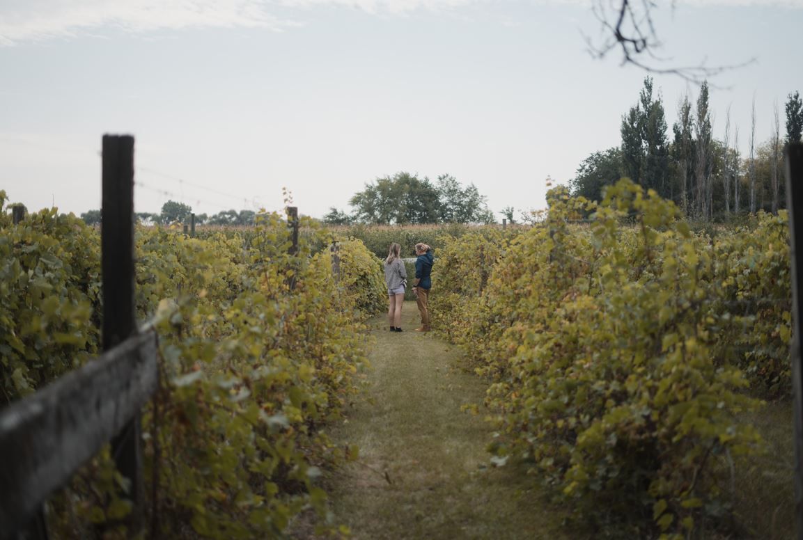 Tour and Wine Tasting @ Manitoba's Only Vineyard