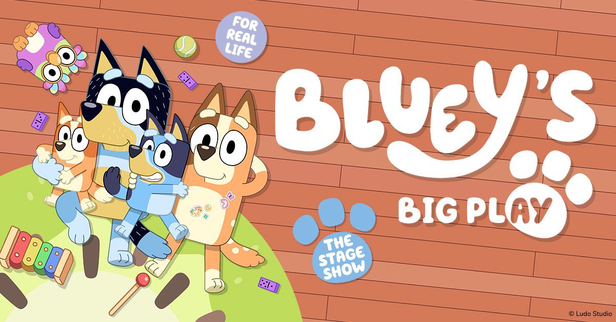 Bluey's Big Play | Auckland #2