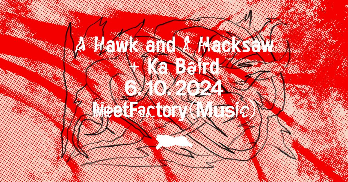 A Hawk and A Hacksaw \u00d7 Ka Baird