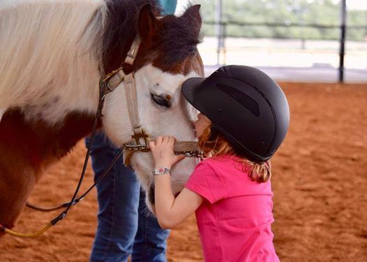 Therapeutic Riding Instructor Training Course